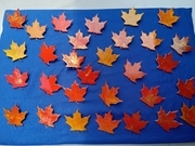 Maple Leaf pins